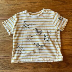 Zara Yellow & Cream Stripe Dog T-Shirt 🐾